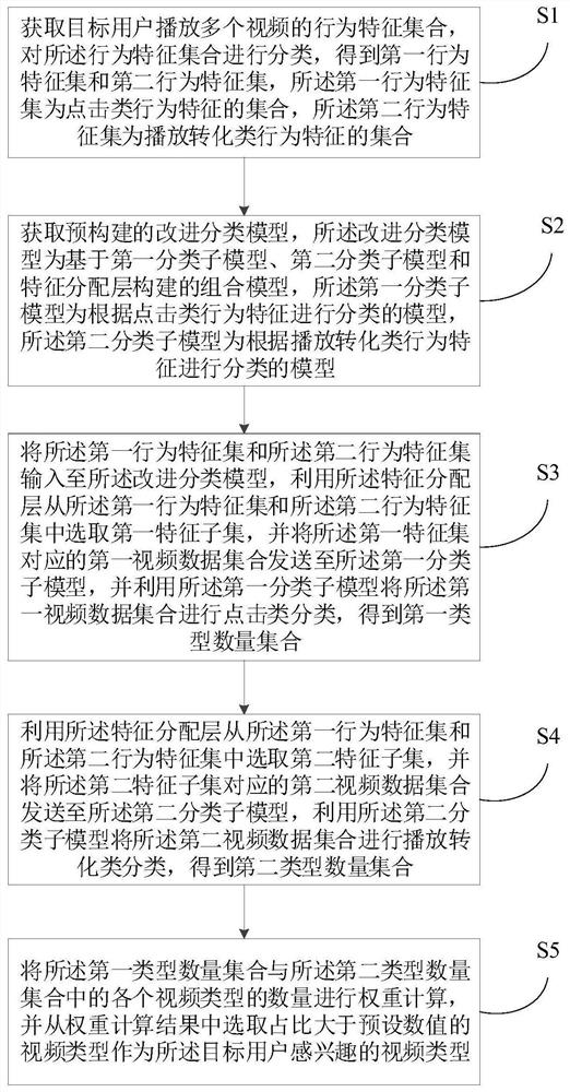 Video type acquisition method, device and electronic device based on multi-model