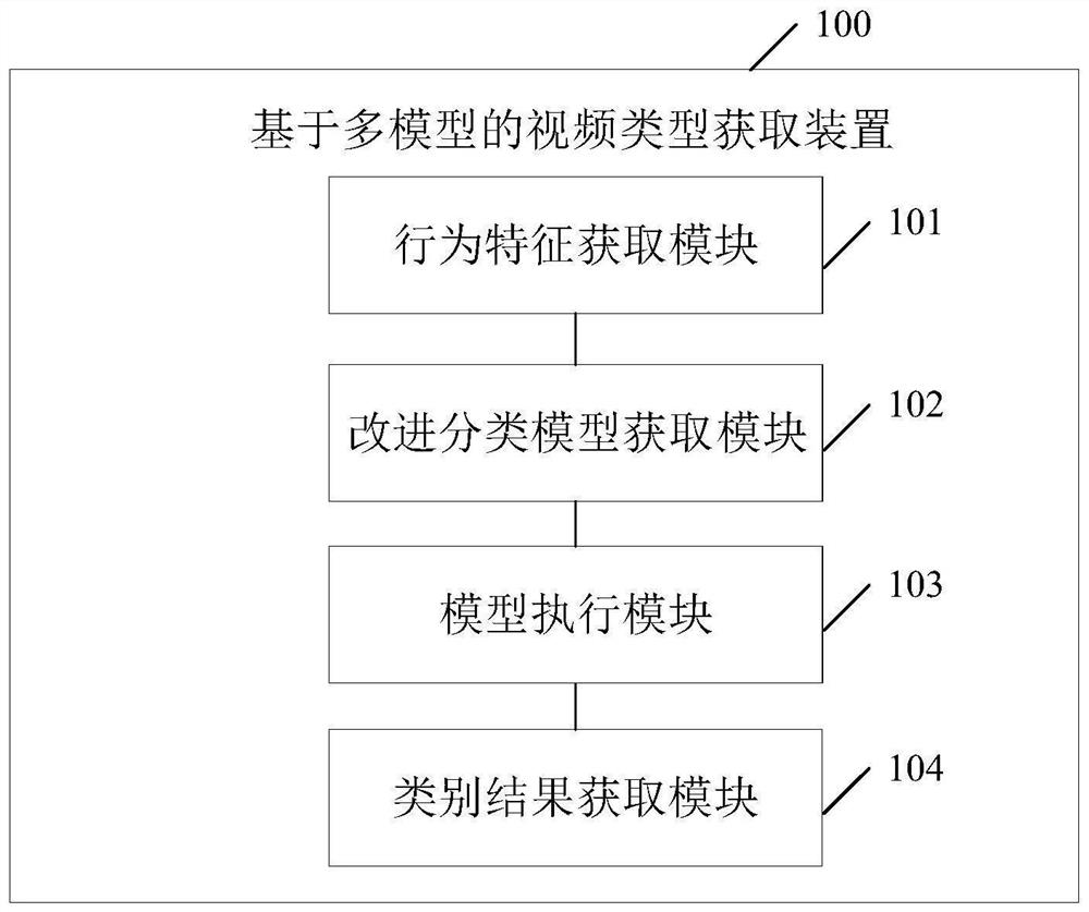 Video type acquisition method, device and electronic device based on multi-model