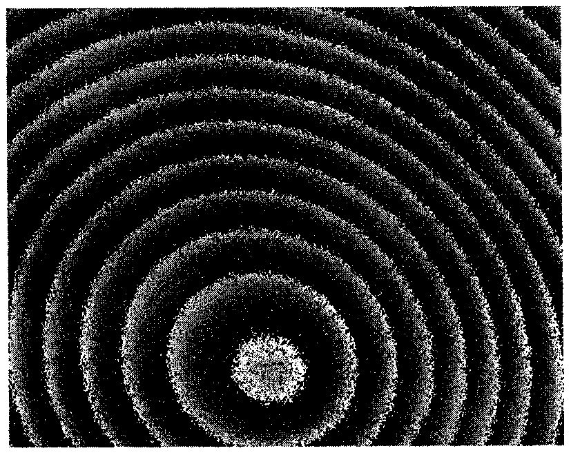 Speckle interference image noise reduction method and device