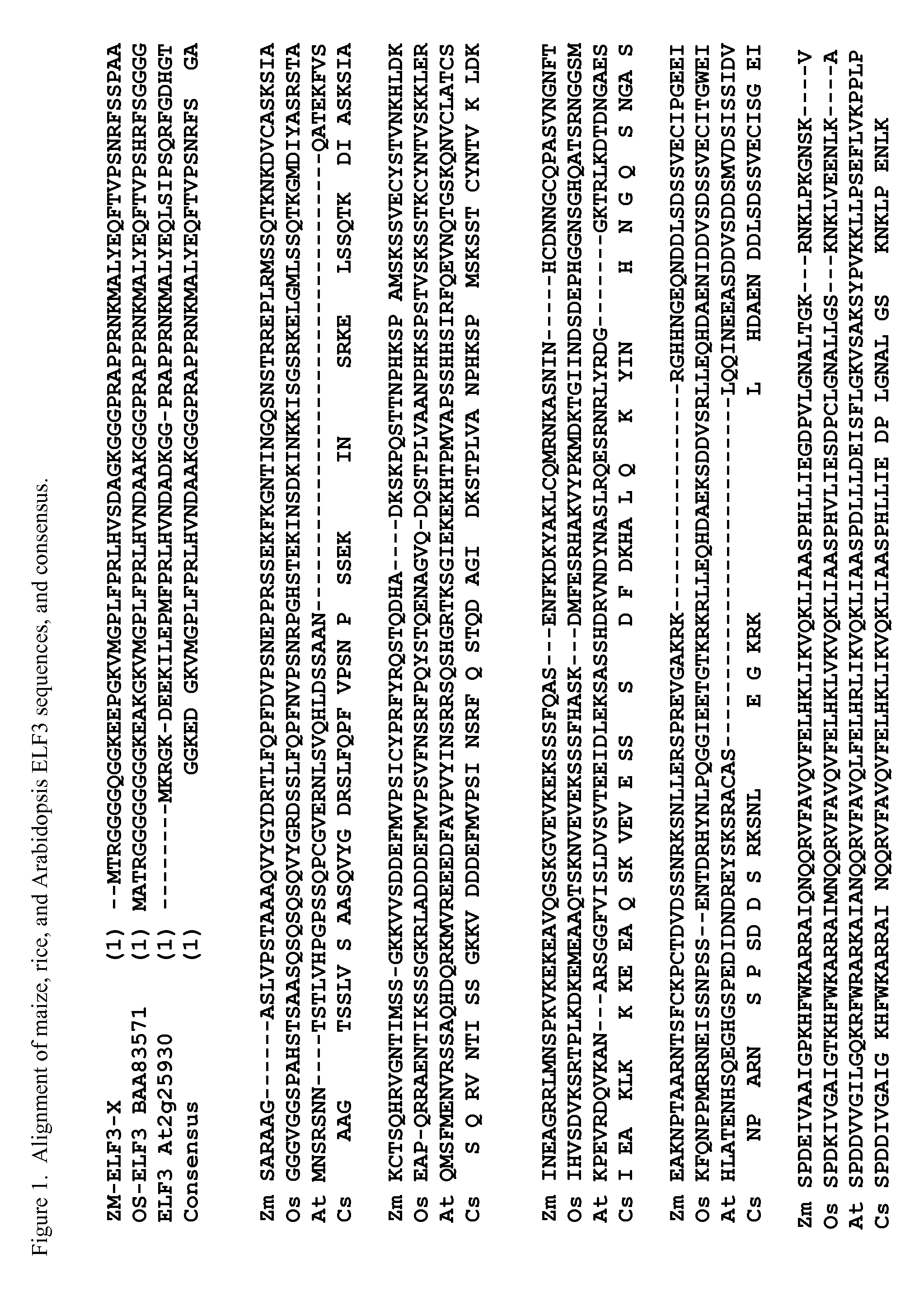 Compositions and Methods for Increasing Plant Tolerance to High Population Density