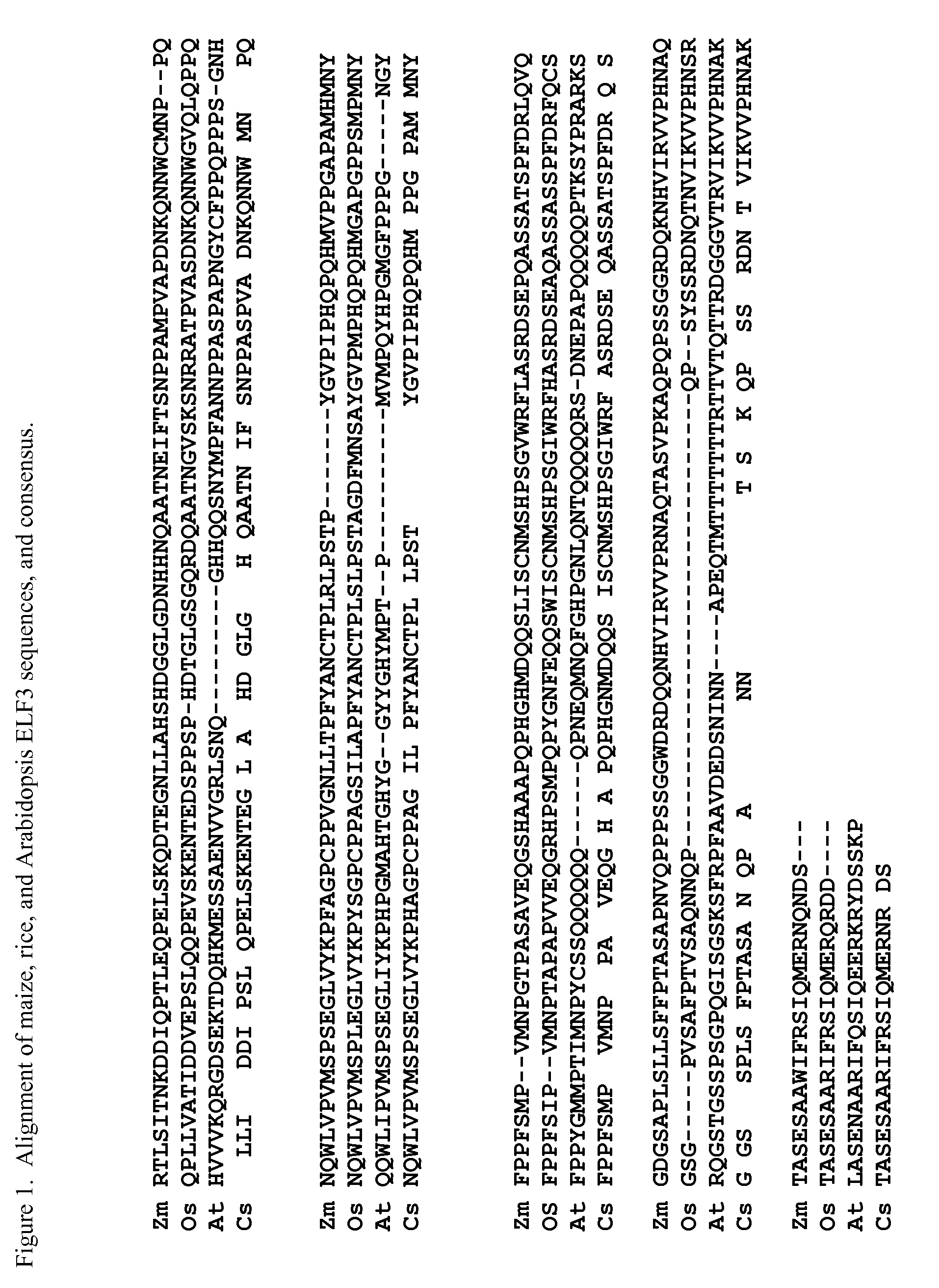 Compositions and Methods for Increasing Plant Tolerance to High Population Density