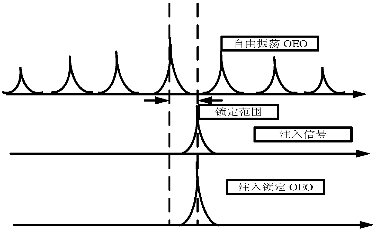 Quadruplicated frequency injection locking photoelectric oscillator