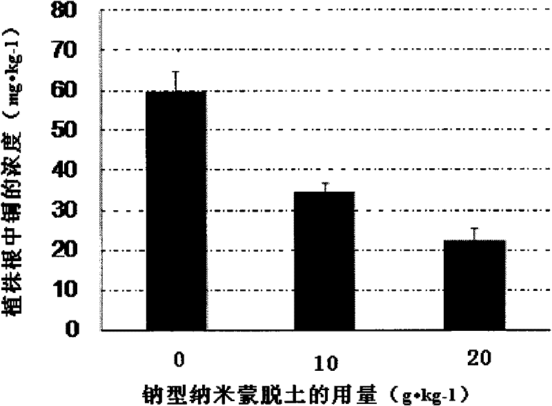 Application of Na-type nano-montmorillonite in removing copper in pollutant