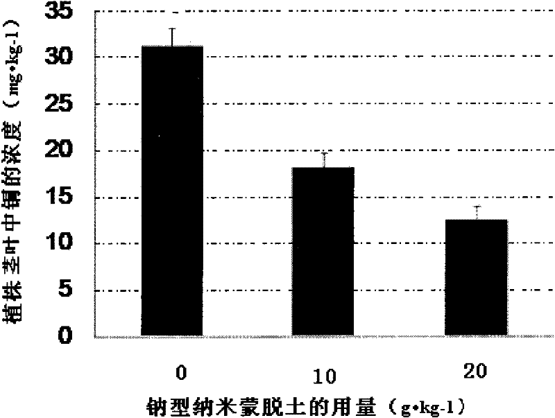 Application of Na-type nano-montmorillonite in removing copper in pollutant