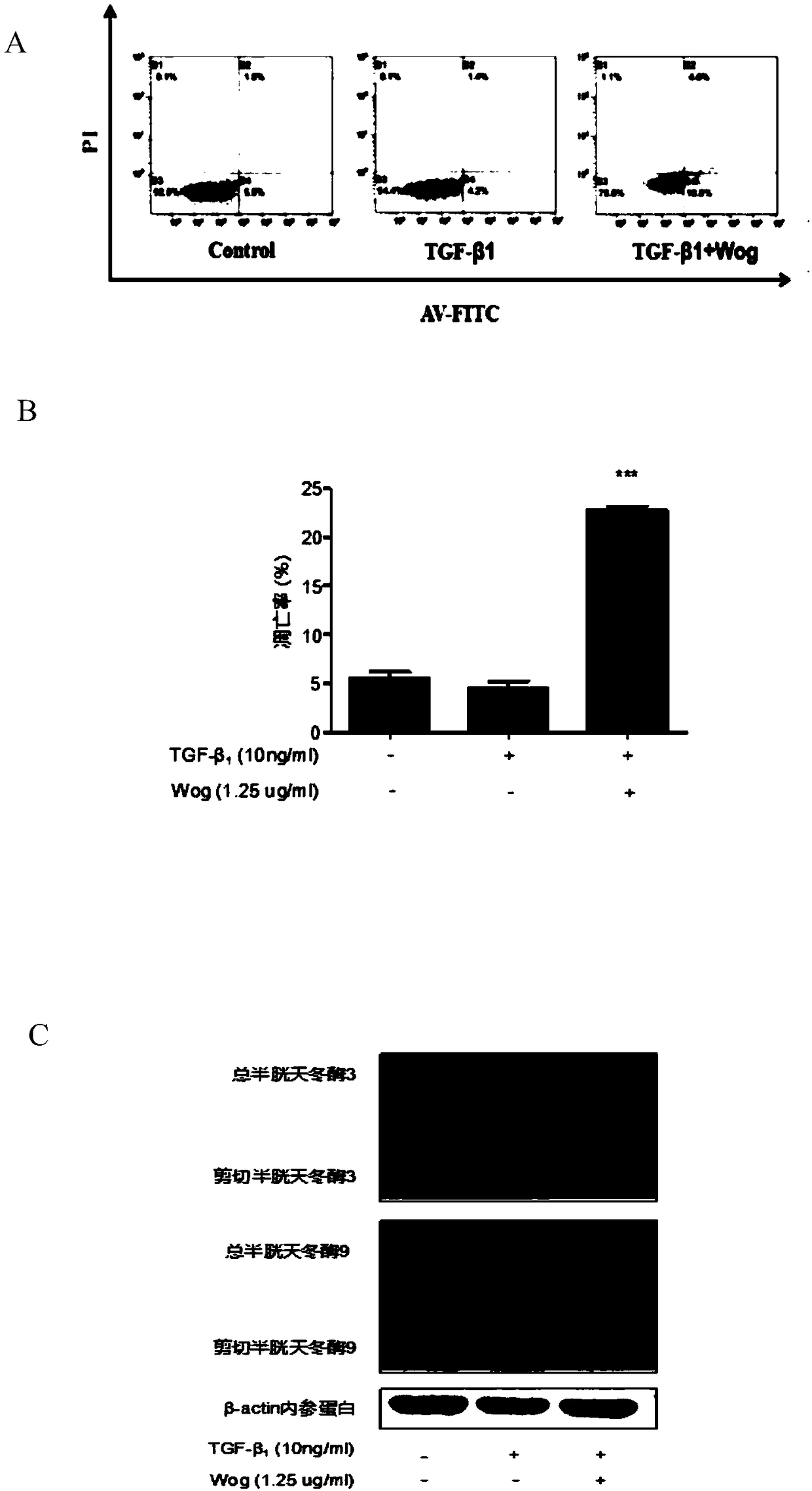 Application of wogonin in preparation of drug for treating hepatic fibrosis