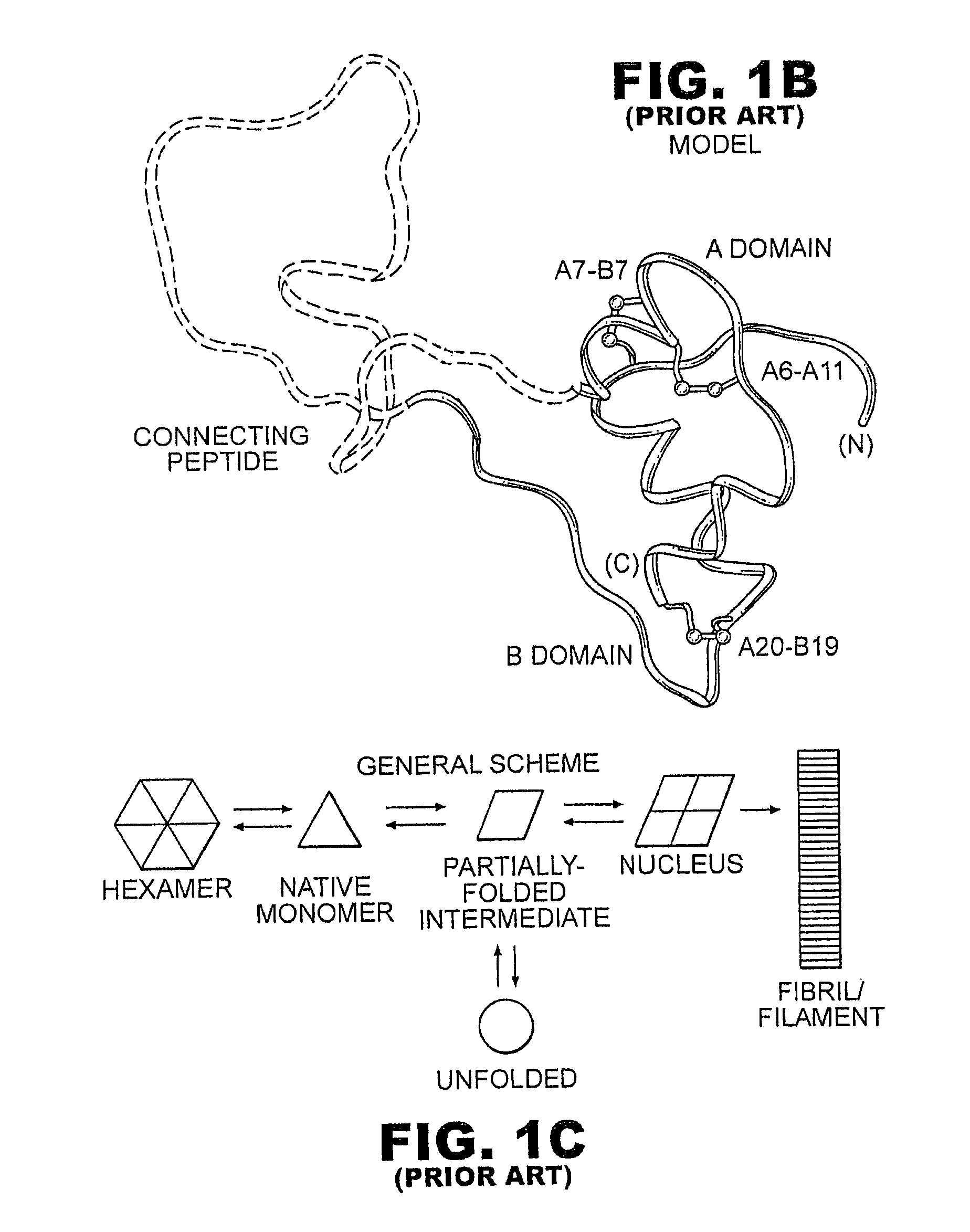 Meal-time insulin analogues of enhanced stability