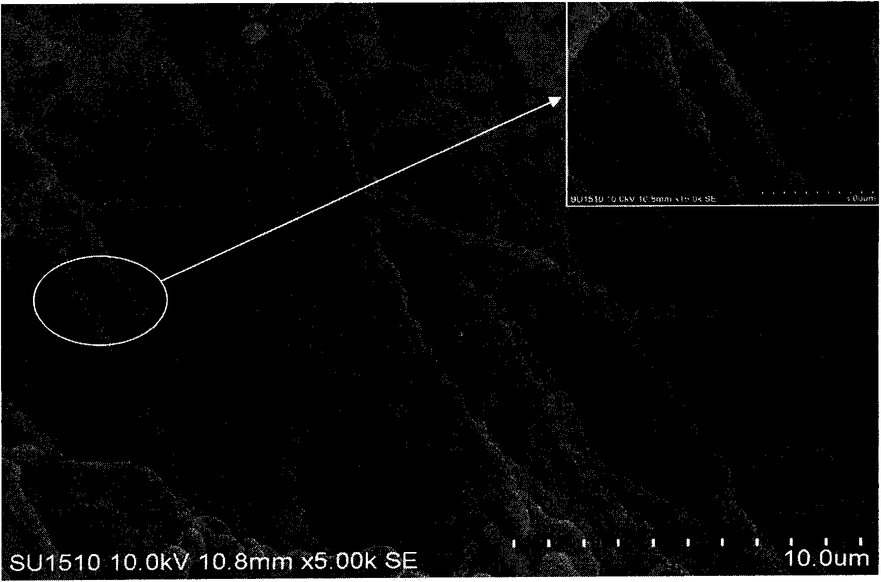 Europium and dysprosium co-doped strontium magnesium silicate luminescent nanofiber and preparation method thereof