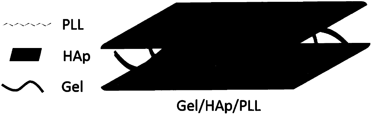 Nanosheet hydroxyapatite/gel composite film with brick-mud structure and preparation method thereof