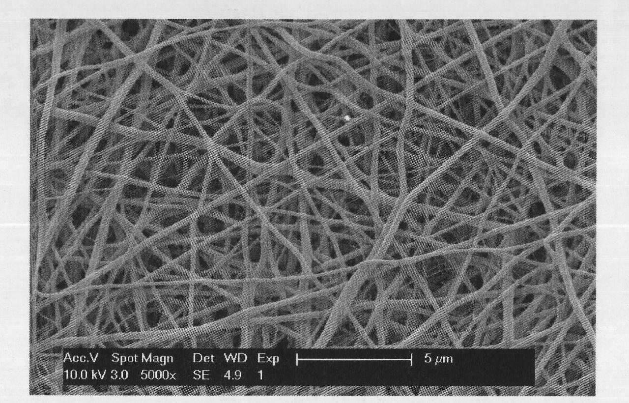 Three-dimensional porous nano-bracket based on fibrinogen and preparation method thereof