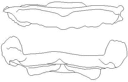 Immediate full denture or half denture manufacturing method based on 3D printing technology