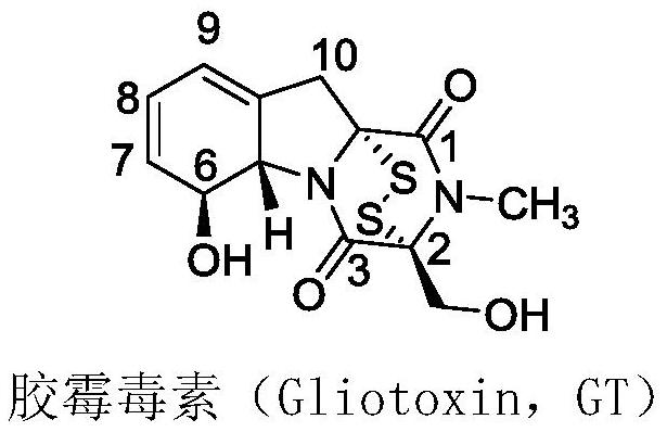 L-amino acid-6-gliotoxin ester trifluoroacetate and preparation method thereof