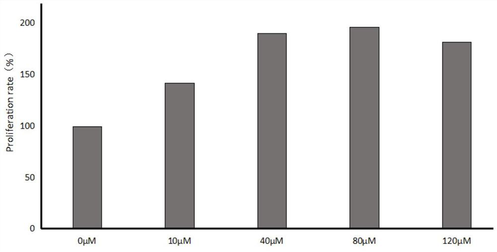 NK cell in-vitro proliferation method and culture medium