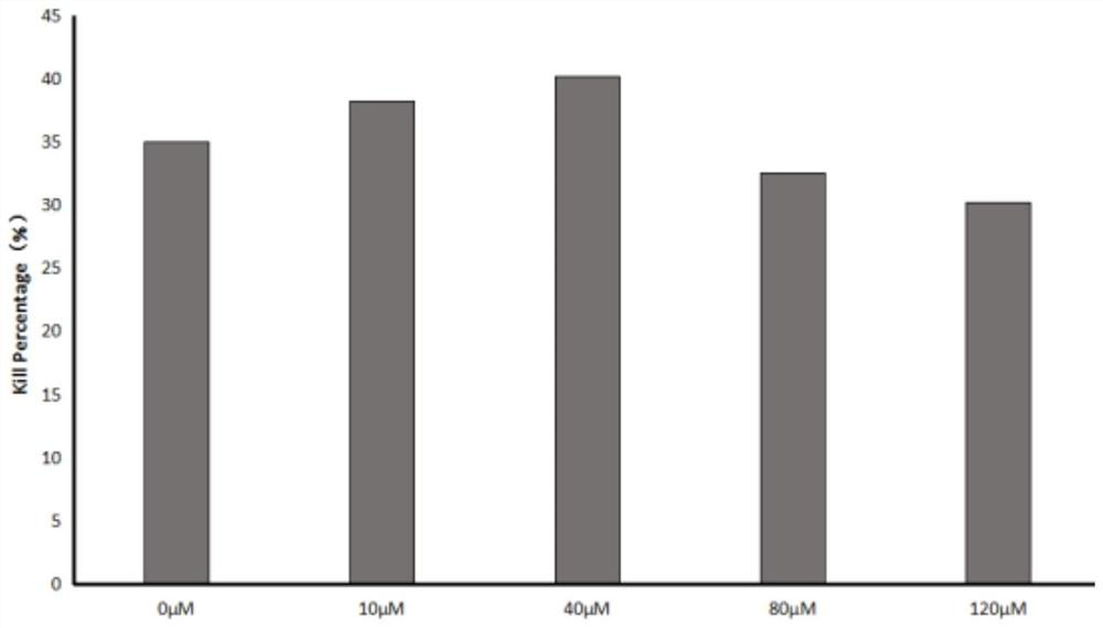 NK cell in-vitro proliferation method and culture medium