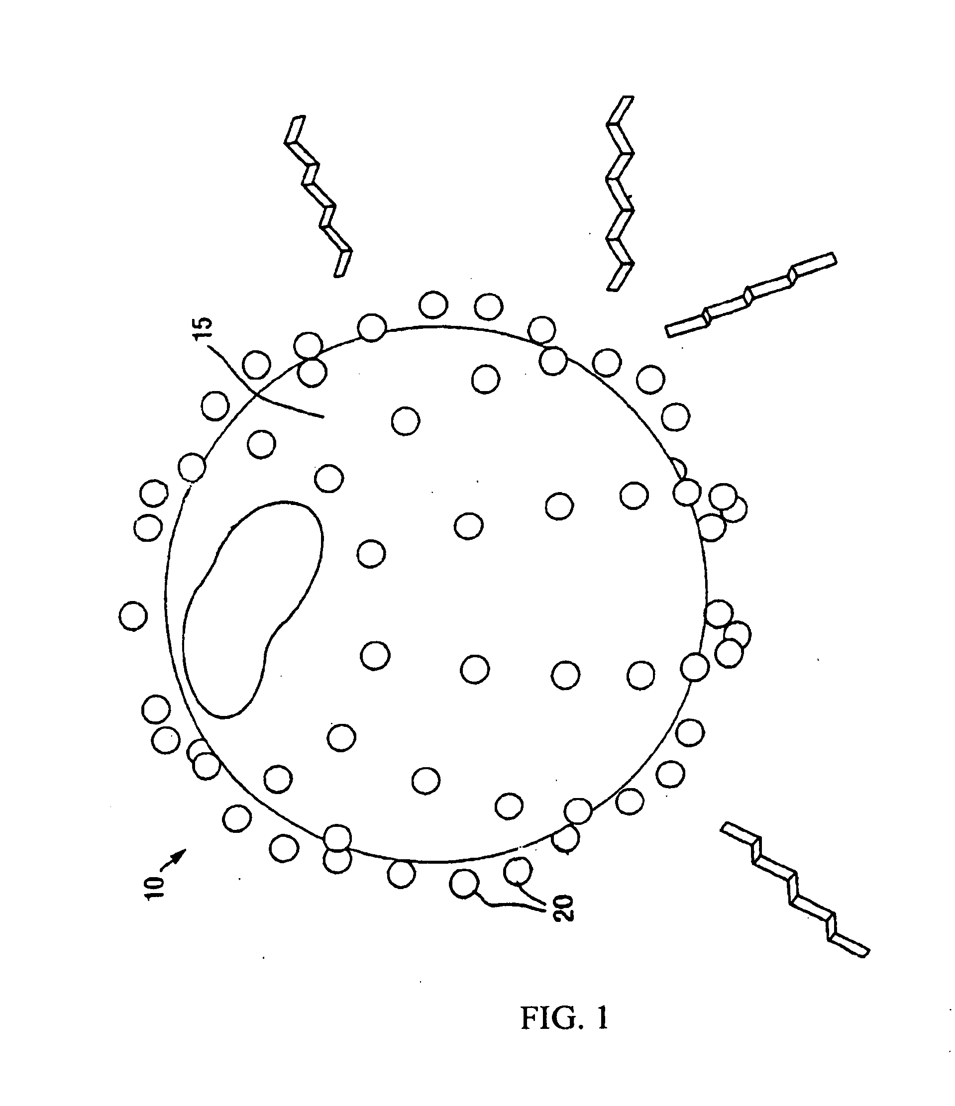 Odor control cellulose-based granules