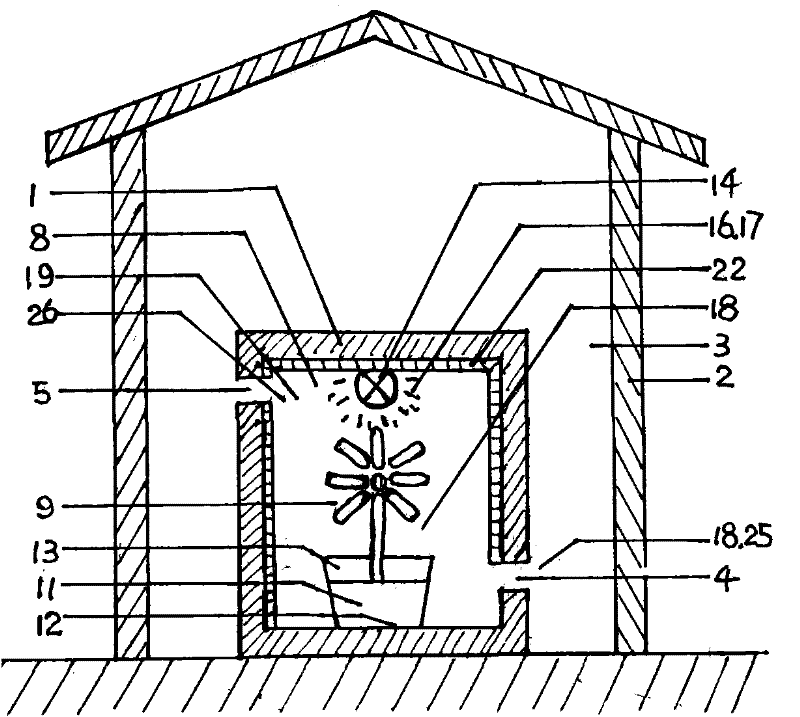 Plant light carbon synthesis oxygen release device