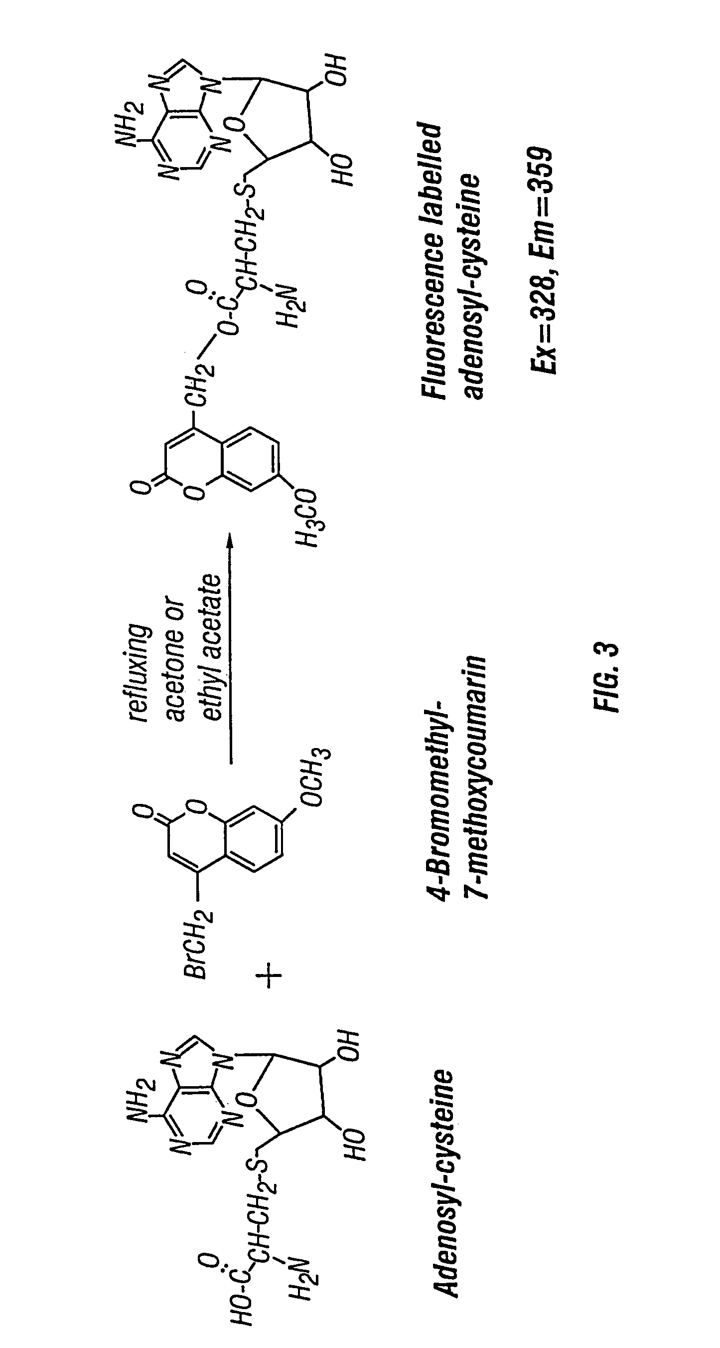 Methods for assaying homocysteine