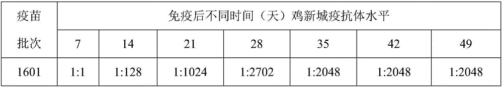 Preparation method of newcastle disease, avian influenza virus and avian adenovirus trivalent inactivated vaccine