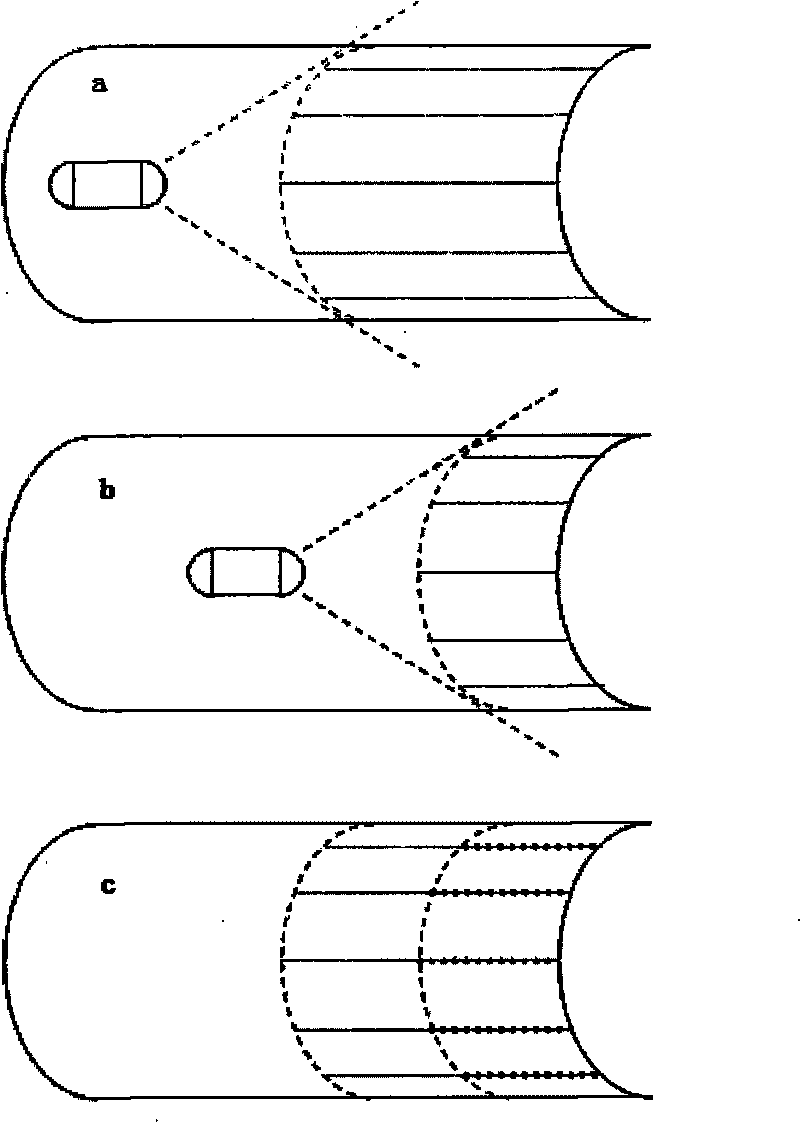 Method and system for processing images based on photographing in vivo by wireless capsule endoscopy or video endoscope