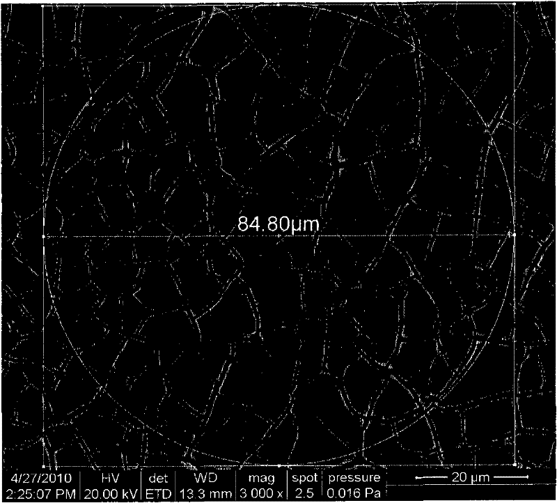 A kind of bioabsorbable composite scaffold and preparation method thereof