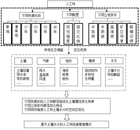 Mountainous area artificial forest tending management method based on soil moisture