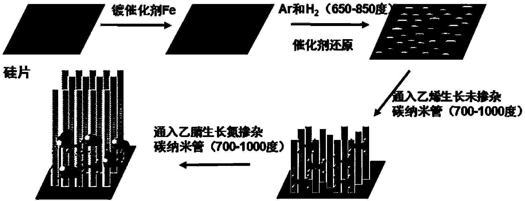 A preparation method of carbon nanotube vertical array structure with heterojunction