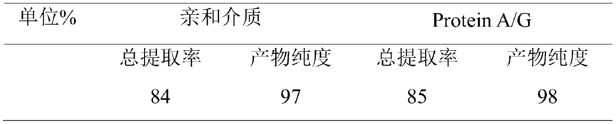 Affine peptide and application thereof