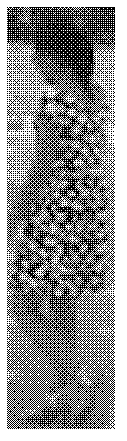 Method for matching pursuit of pedestrian target under illumination environment change condition