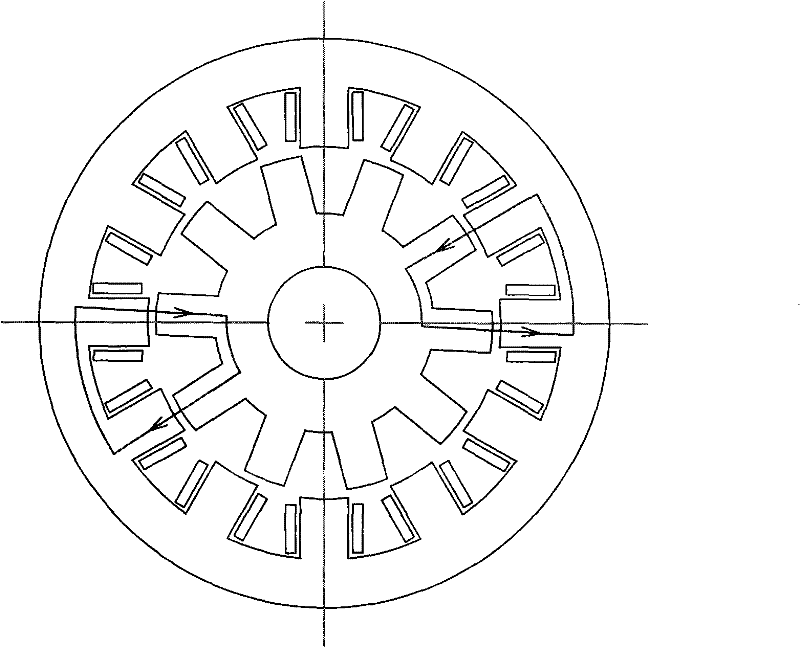 Dual-redundancy switch reluctance motor