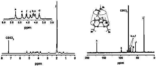 Amphiphilic stellate camptothecin polymer prodrug and preparation method thereof