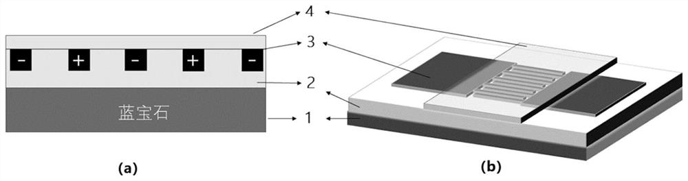 Hexagonal boron nitride deep ultraviolet photoelectric detector with embedded MSM structure and preparation method thereof