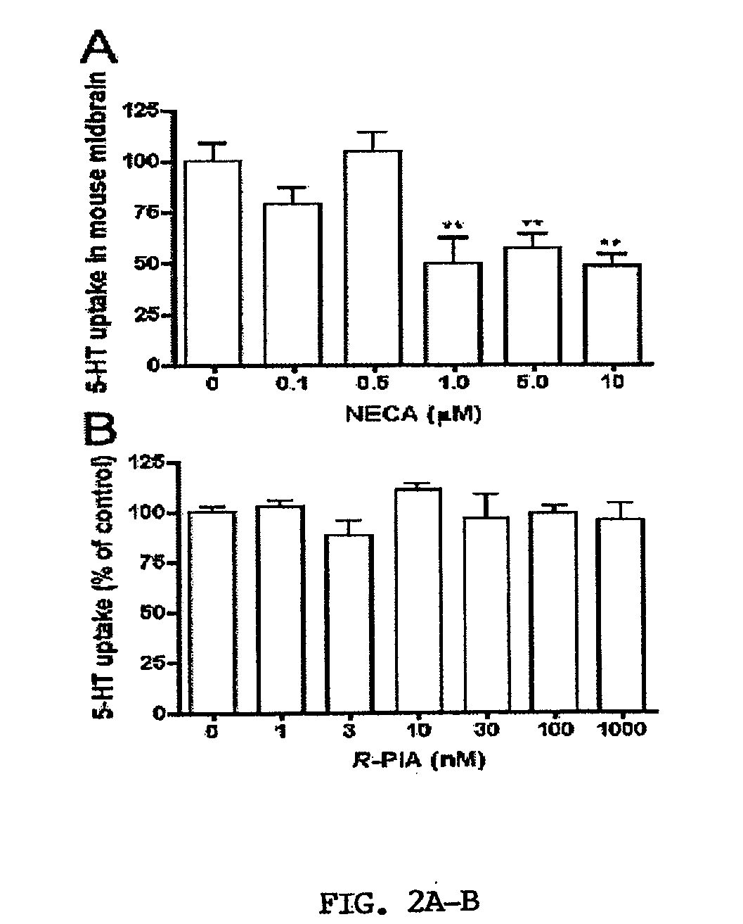 A3 adenosine receptors as targets for the modulation of central serotonergic signaling