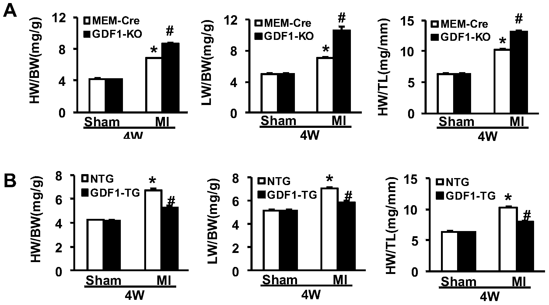 Function and application of growth differentiation factor 1 (GDF1) to coronary atherosclerotic heart disease