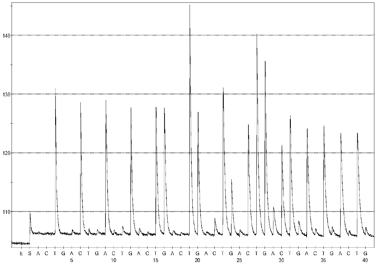 Method for detecting tomato spotted wilf virus