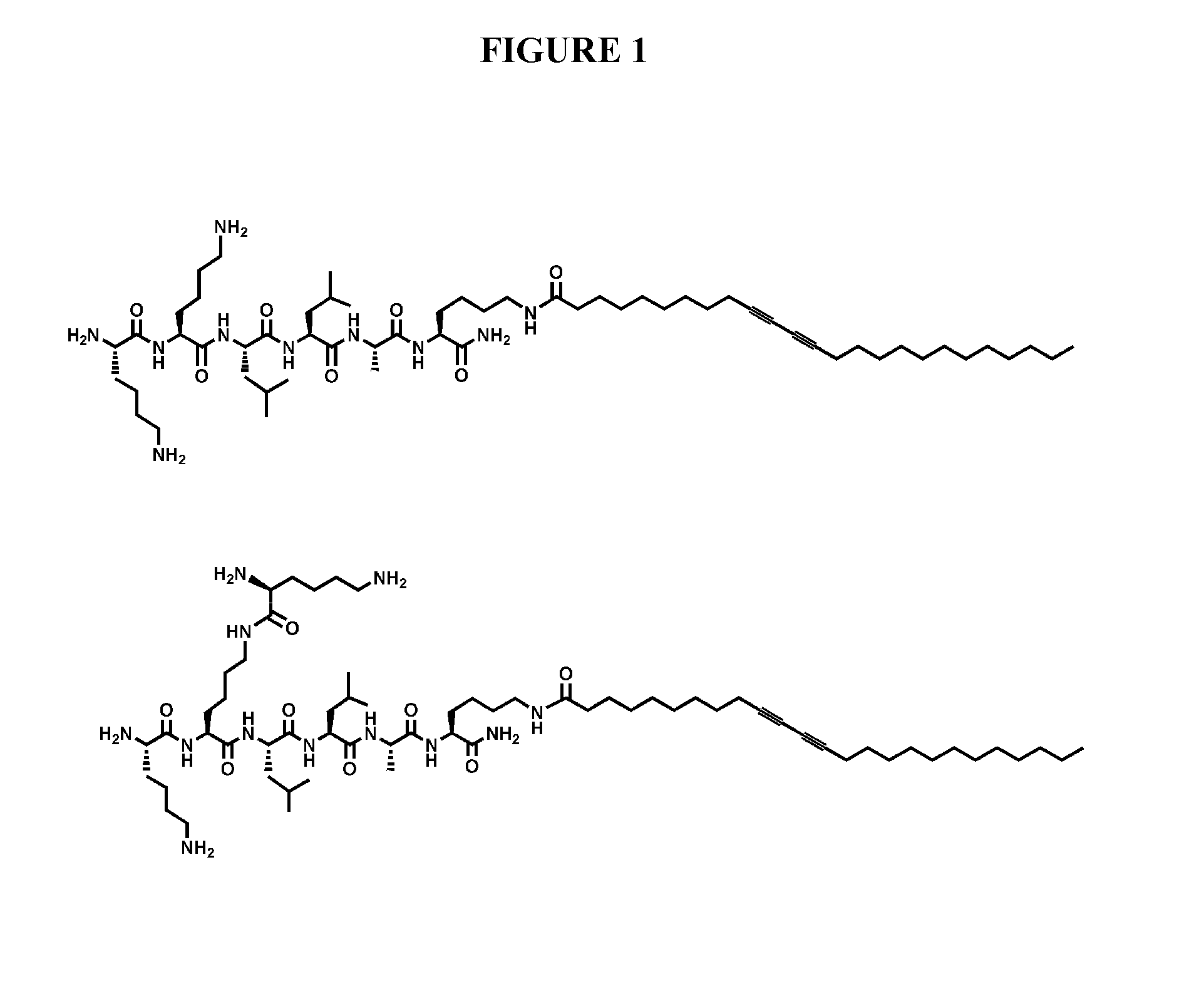 Self-assembling peptide amphiphiles