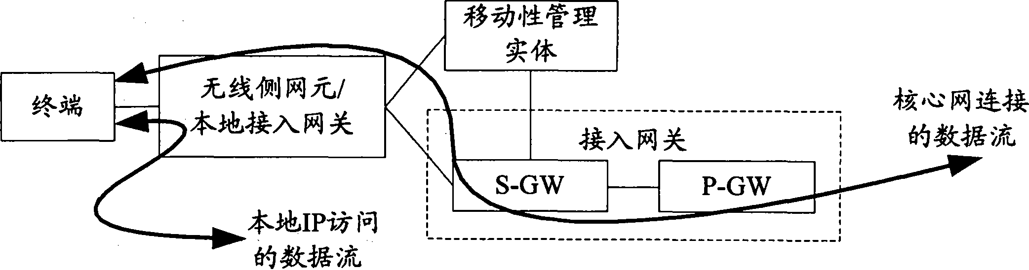 Method and system for managing local internet protocol access connection