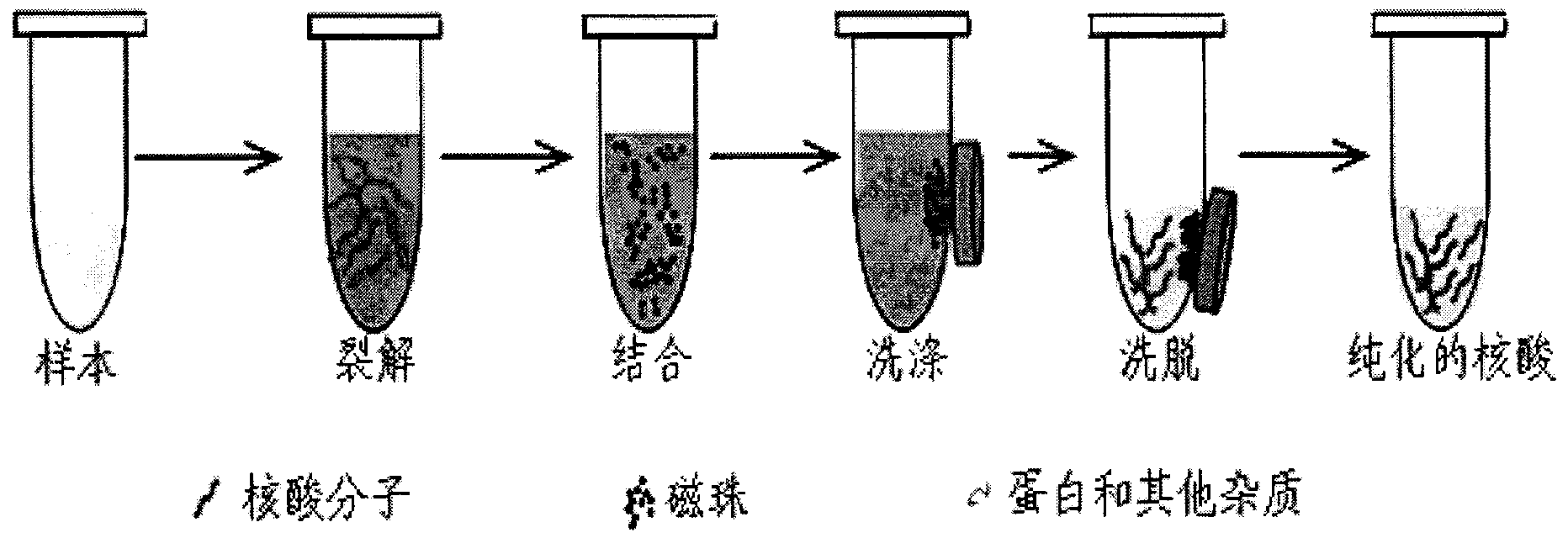 Method and kit for synchronous fluorescence detection of hepatitis and HIV virus nucleic acid