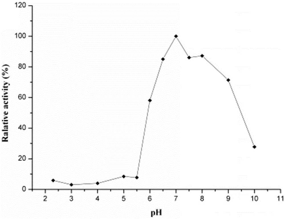 Heat-stable catechol 1,2-dioxygenase derived from animal manure metagenome and coding gene thereof, and preparation method of heat-stable catechol 1,2-dioxygenase