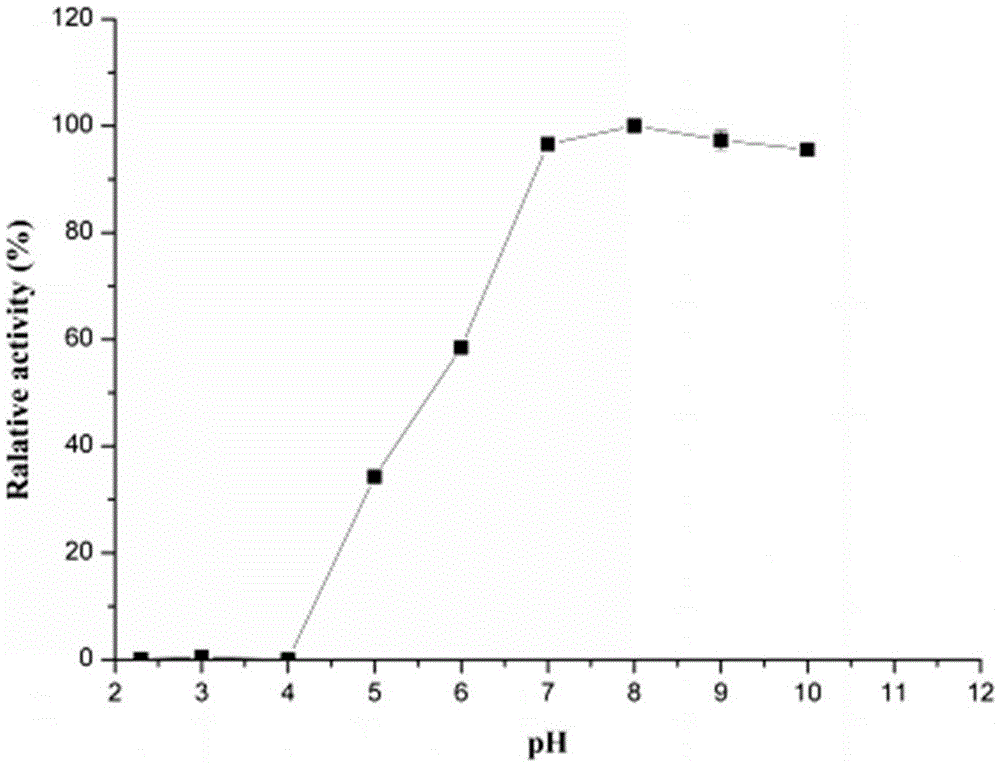 Heat-stable catechol 1,2-dioxygenase derived from animal manure metagenome and coding gene thereof, and preparation method of heat-stable catechol 1,2-dioxygenase