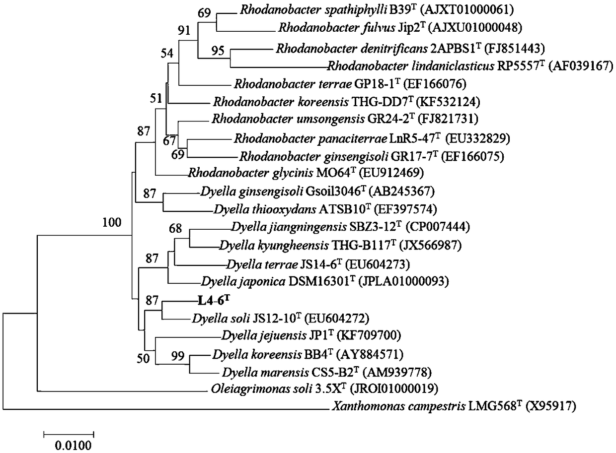 Fermented carbonization bodinier elsholtzia herb particle as well as preparation method and application thereof