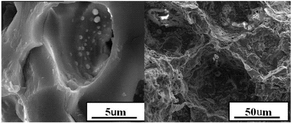 Microecological preparation with viable bacteria, preparation method and application thereof