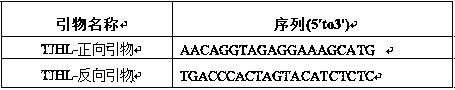 Method for Purity Identification of Flower Bud Seeds of Melon Hybrids Based on est-ssr Markers