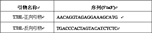 Method for Purity Identification of Flower Bud Seeds of Melon Hybrids Based on est-ssr Markers