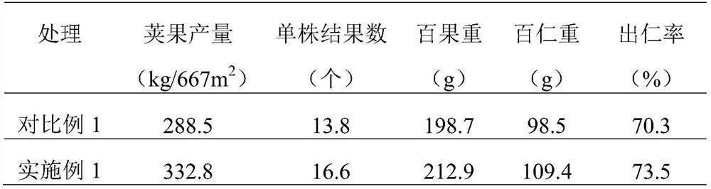 A high-efficiency crop rotation fertilization method for alleviating continuous cropping obstacles and increasing peanut fruit filling rate