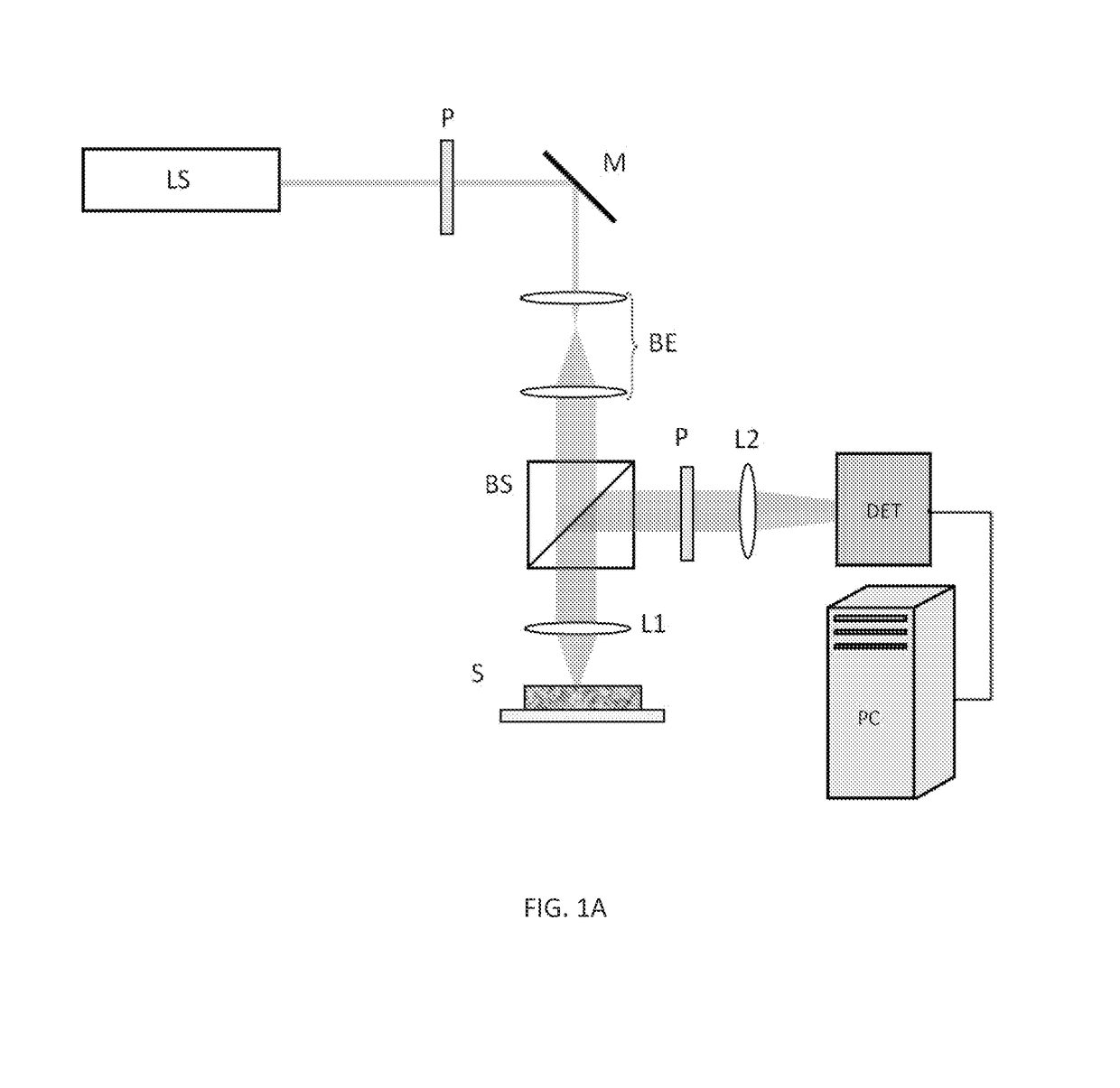 Laser speckle microrheometer for measuring mechanical properties of biological tissue