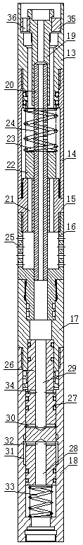 Portable double-layer coiled tubing sand pumping device and technology