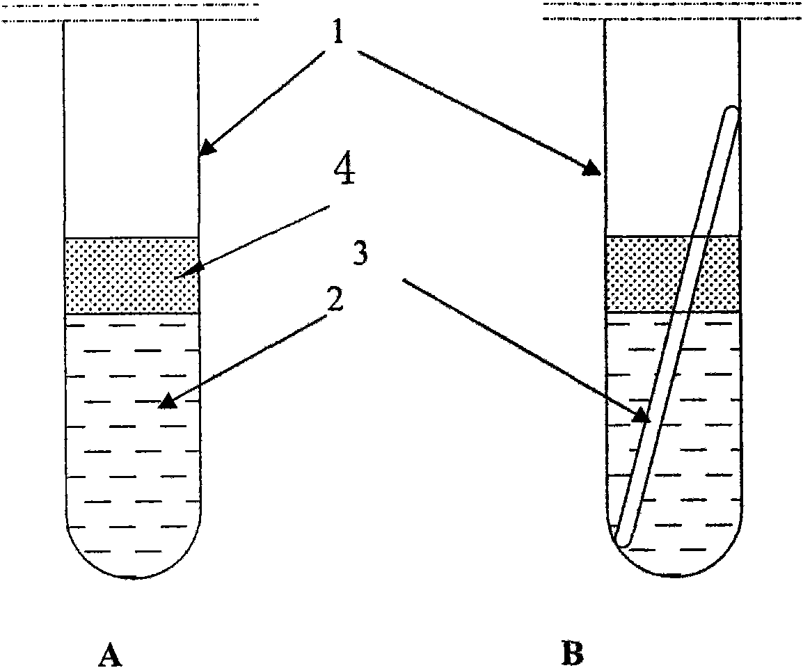 Anti-frozen-heaving heat pipe using elastic material