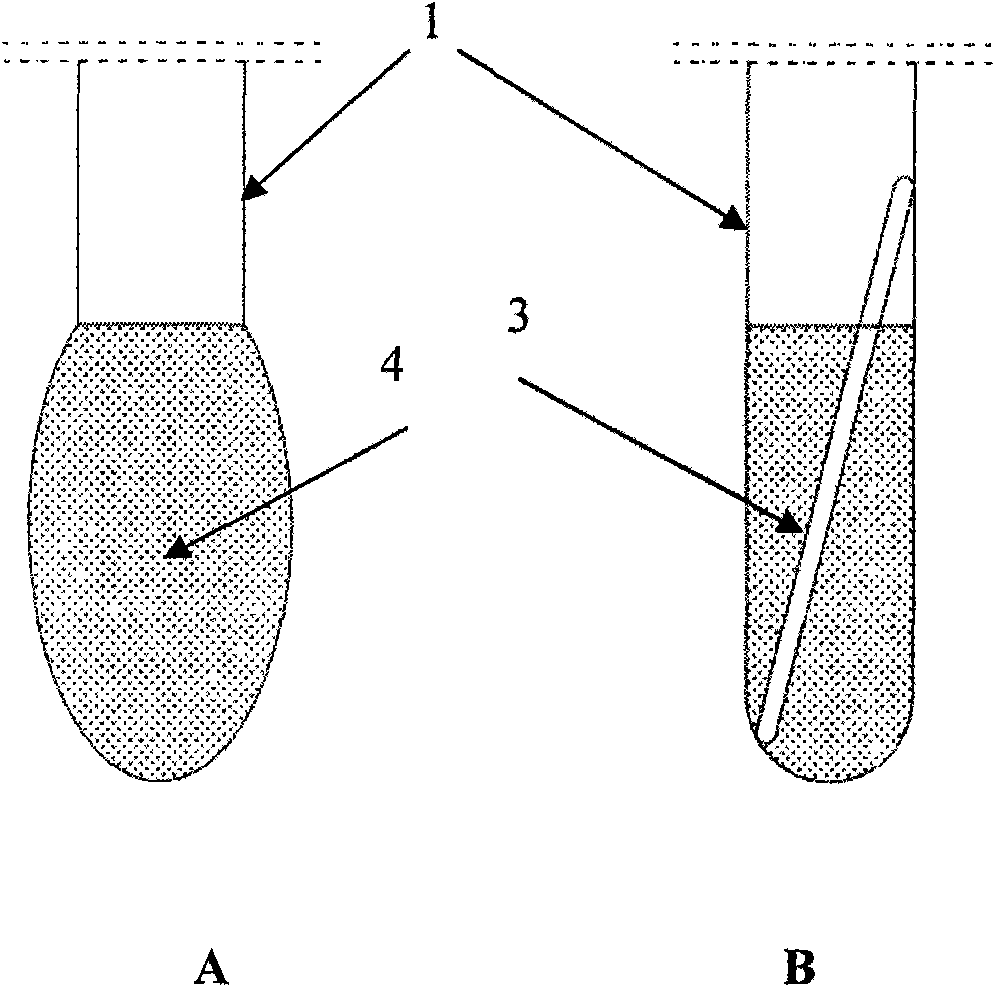 Anti-frozen-heaving heat pipe using elastic material