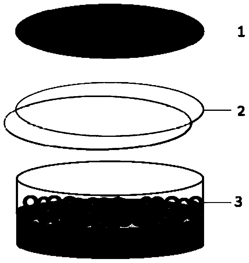 A blood storage device