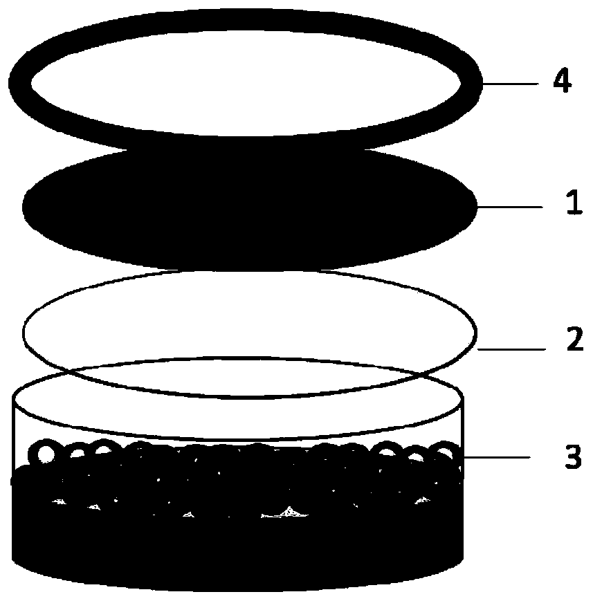 A blood storage device