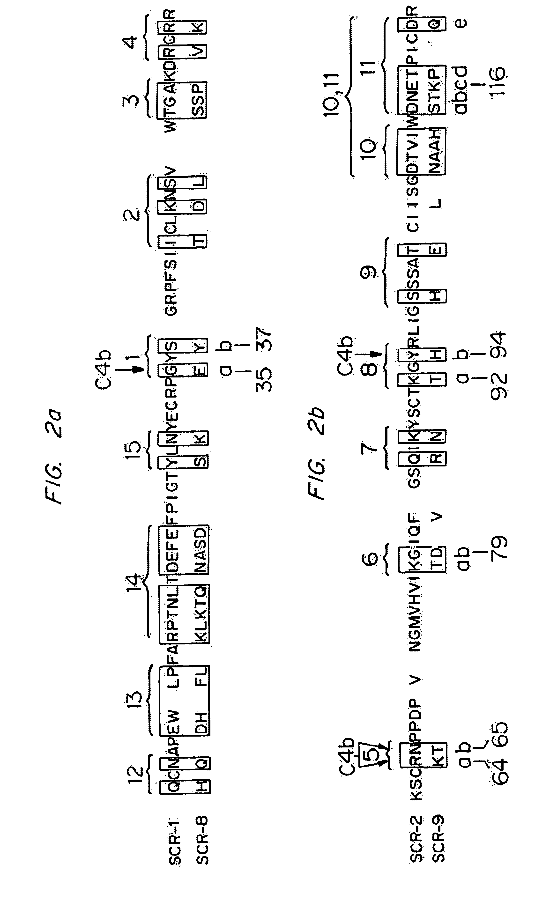 Modified RCA proteins